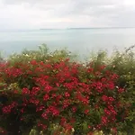 Отель Sea Vista