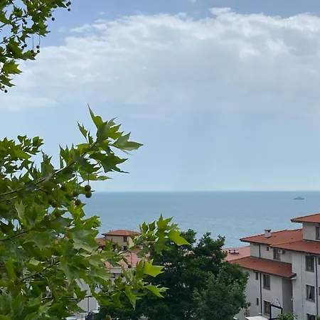 Hotel Sea Vista Hotel